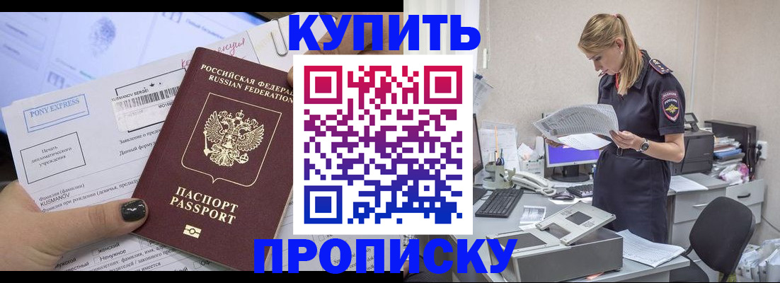 временная регистрация поиск в Заинске